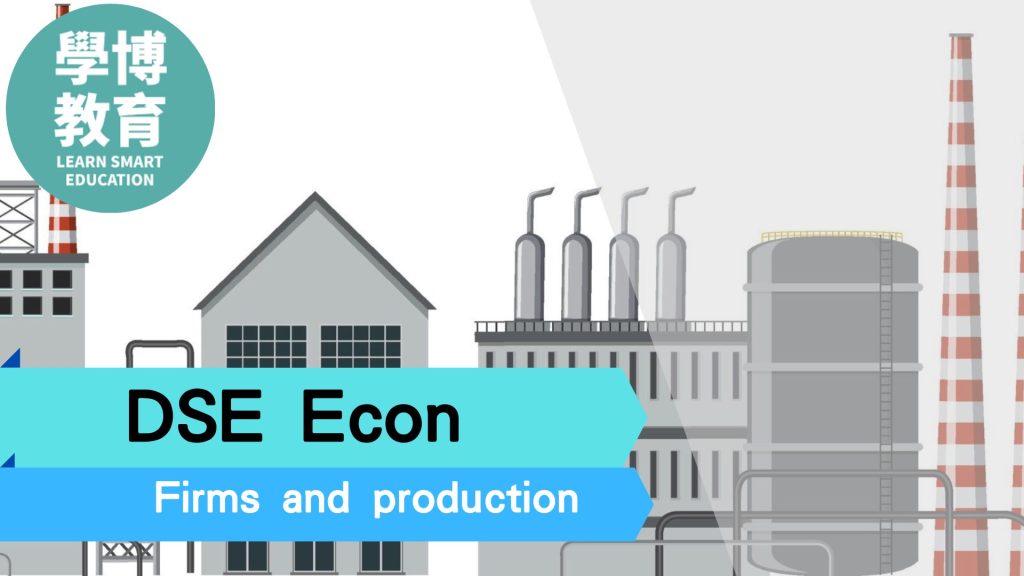 firms and production dse