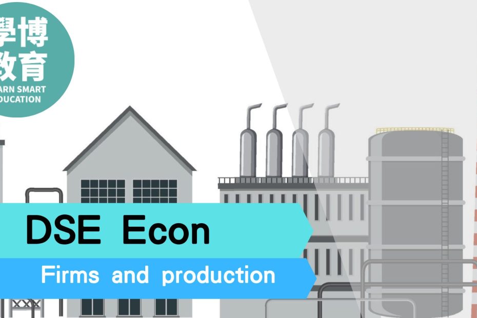 firms and production dse