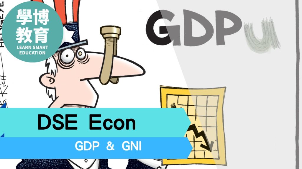 gdp and gni dse